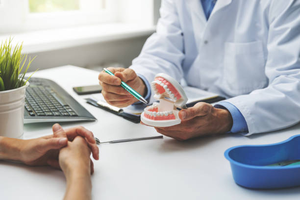 Professional Holistic Dental Care Services in Gap, PA